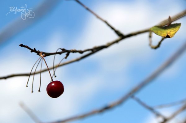 Фотовиставка Тетяни Должко